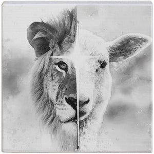 B&W Lion Lamb - Small Talk Square